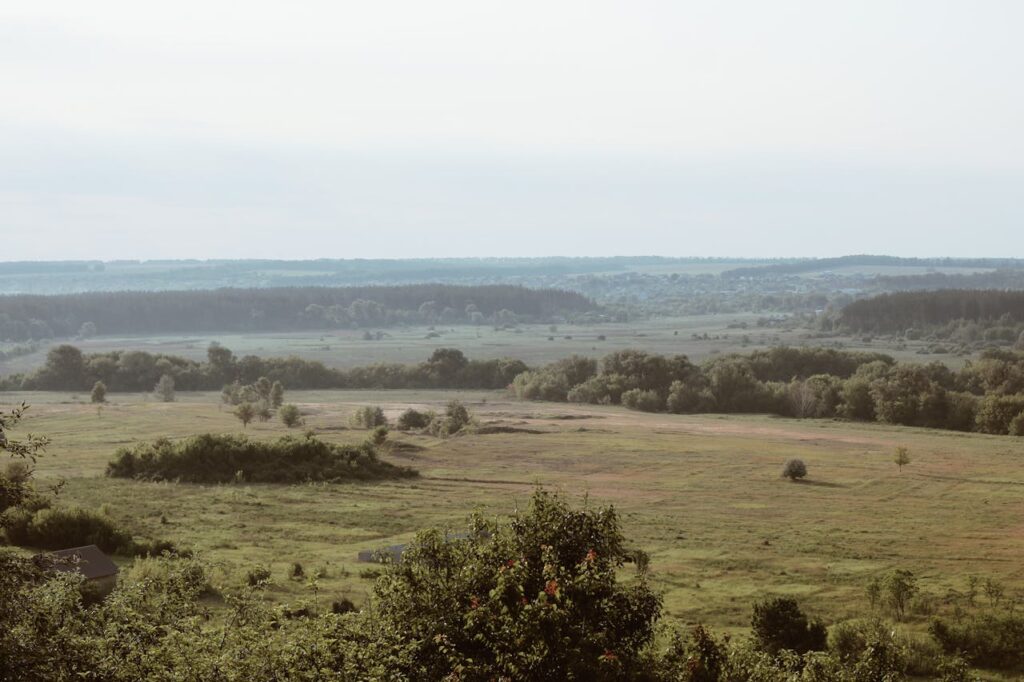 Green Grassland with Trees in Countryside