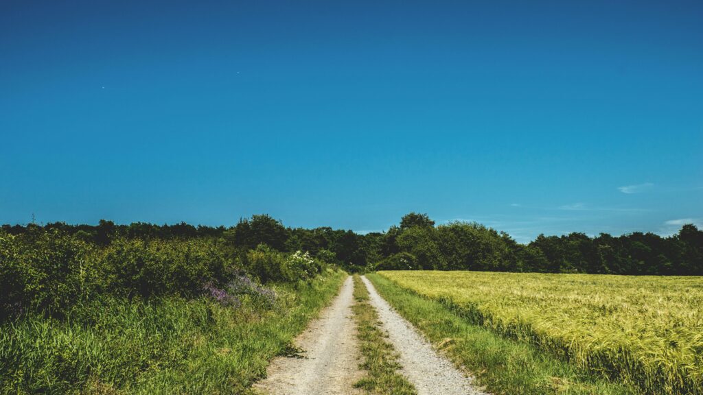 A serene country road stretches through lush green fields under a clear blue sky.